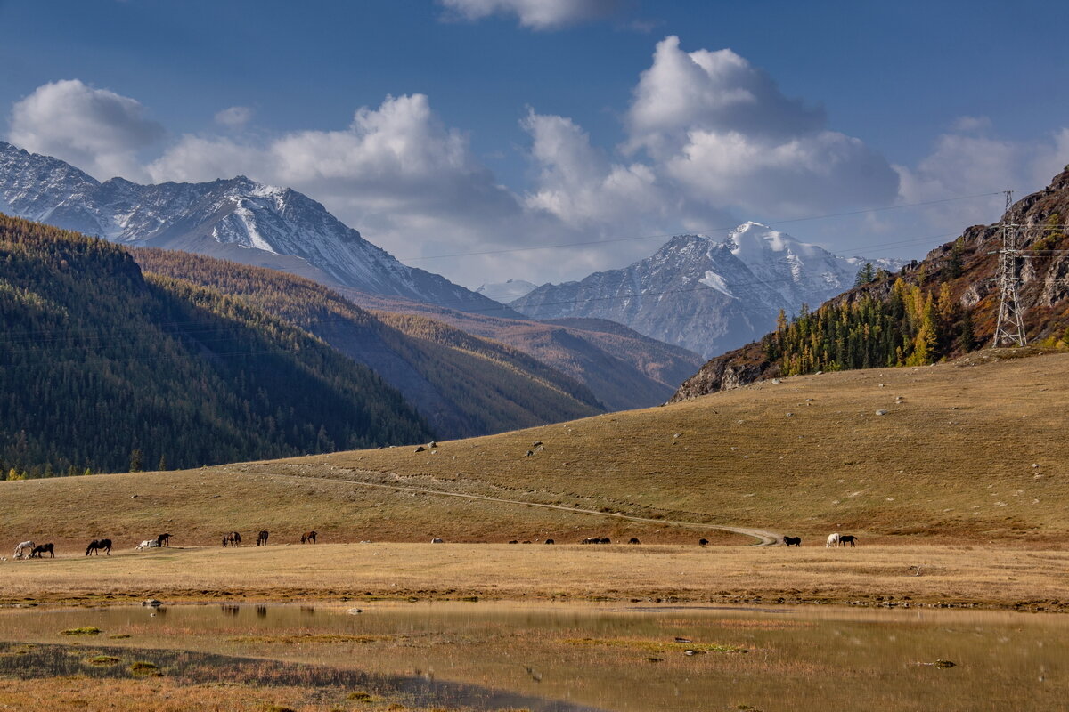 Северо-Чуйский хребет - Виктор Четошников