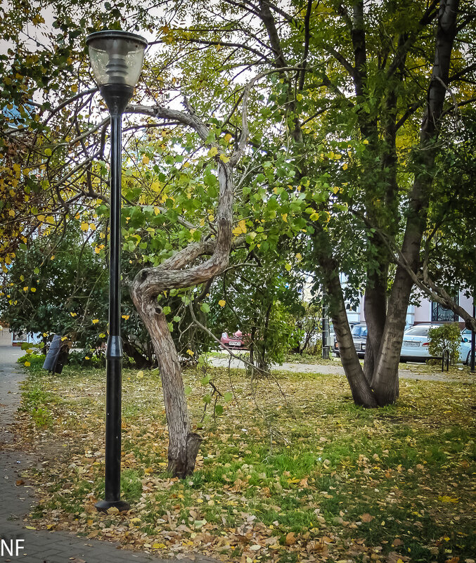 г. Н. Новгород. - Nonna 