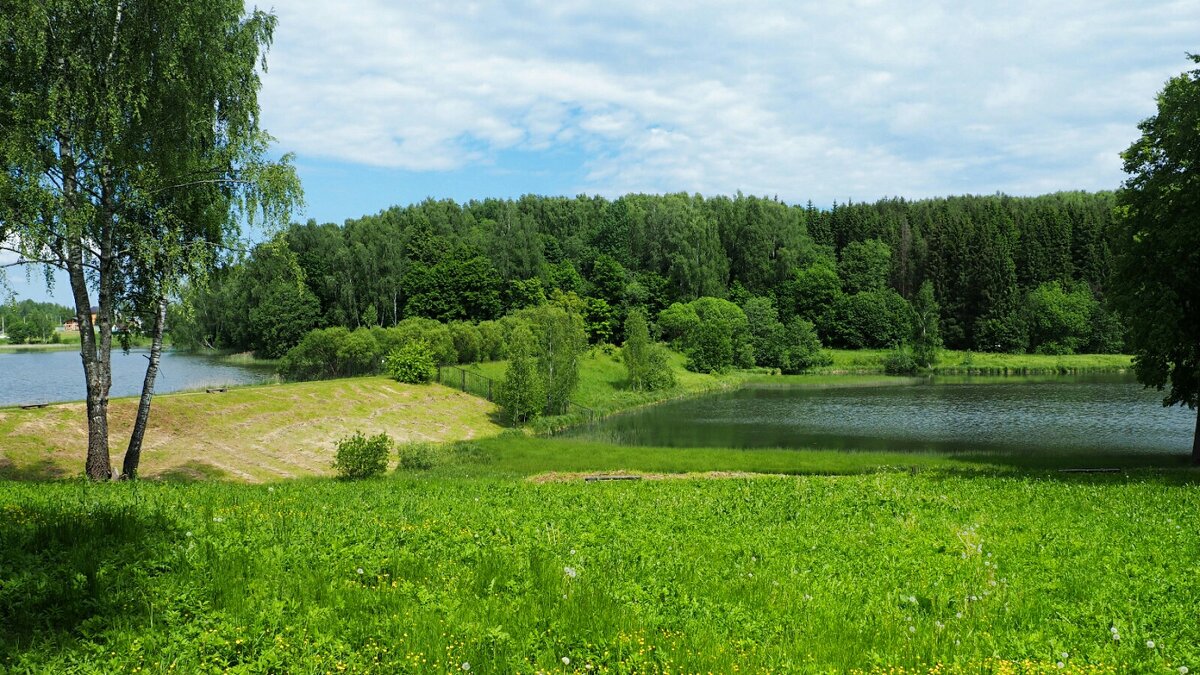 Смоленское лето (из поездок по области). - Милешкин Владимир Алексеевич Смоленское лето (из поездок по области). - Милешкин Владимир Алексеевич