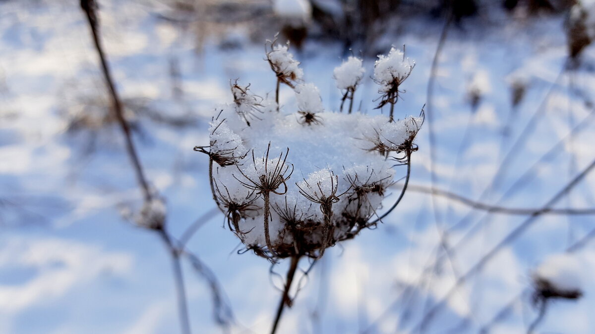 чего-то вспомнилось такое..3 - Александр Прокудин чего-то вспомнилось такое..3 - Александр Прокудин