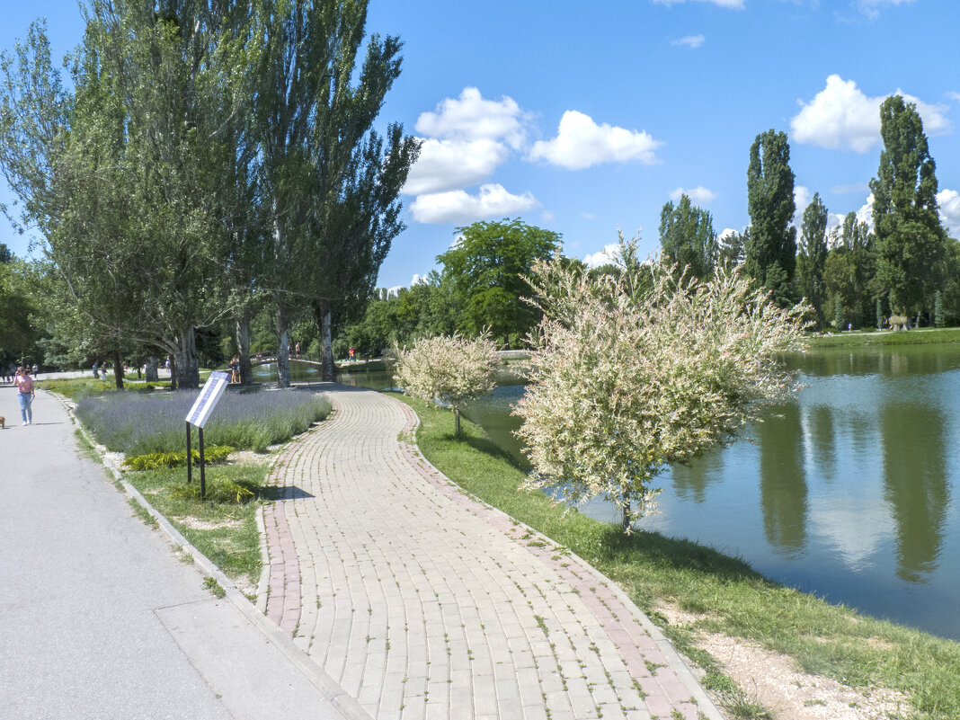 Лето в Гагаринском парке - Валентин Семчишин Лето в Гагаринском парке - Валентин Семчишин