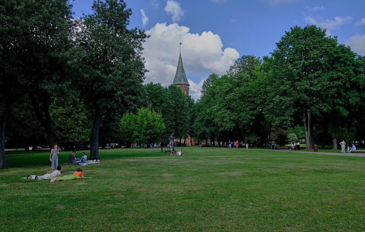 На острове Канта - Михаил Рогожин