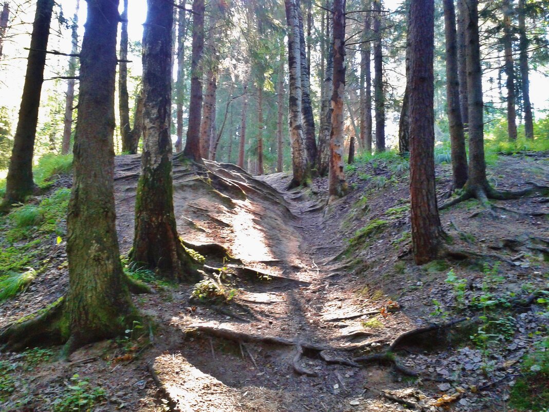 природа - Владимир 