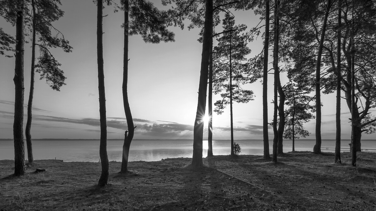 .... - василий .... - василий