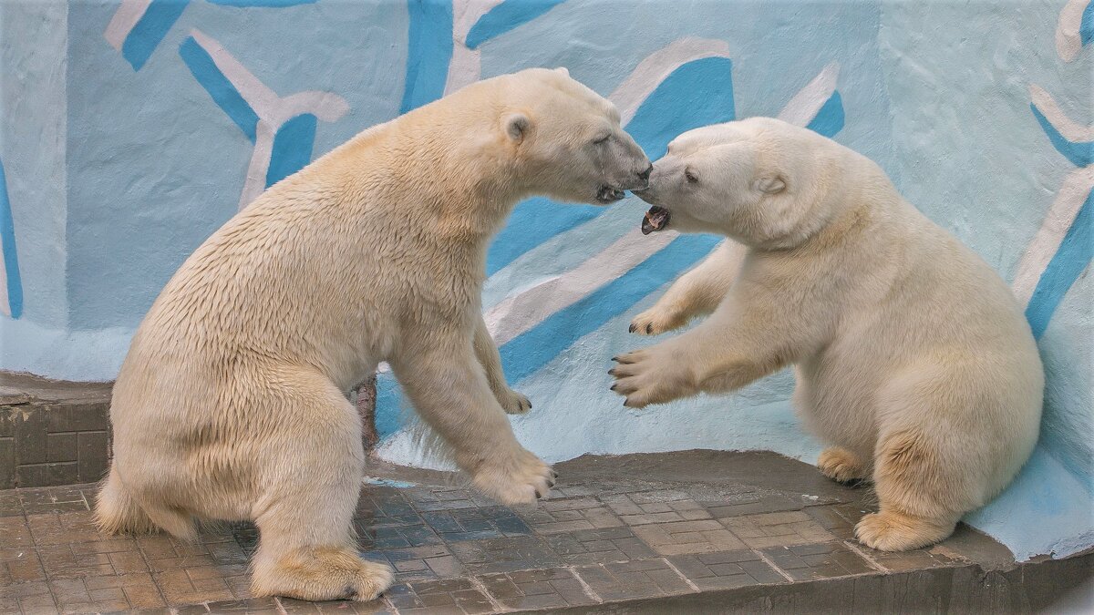 дела семейные - аркадий дела семейные - аркадий