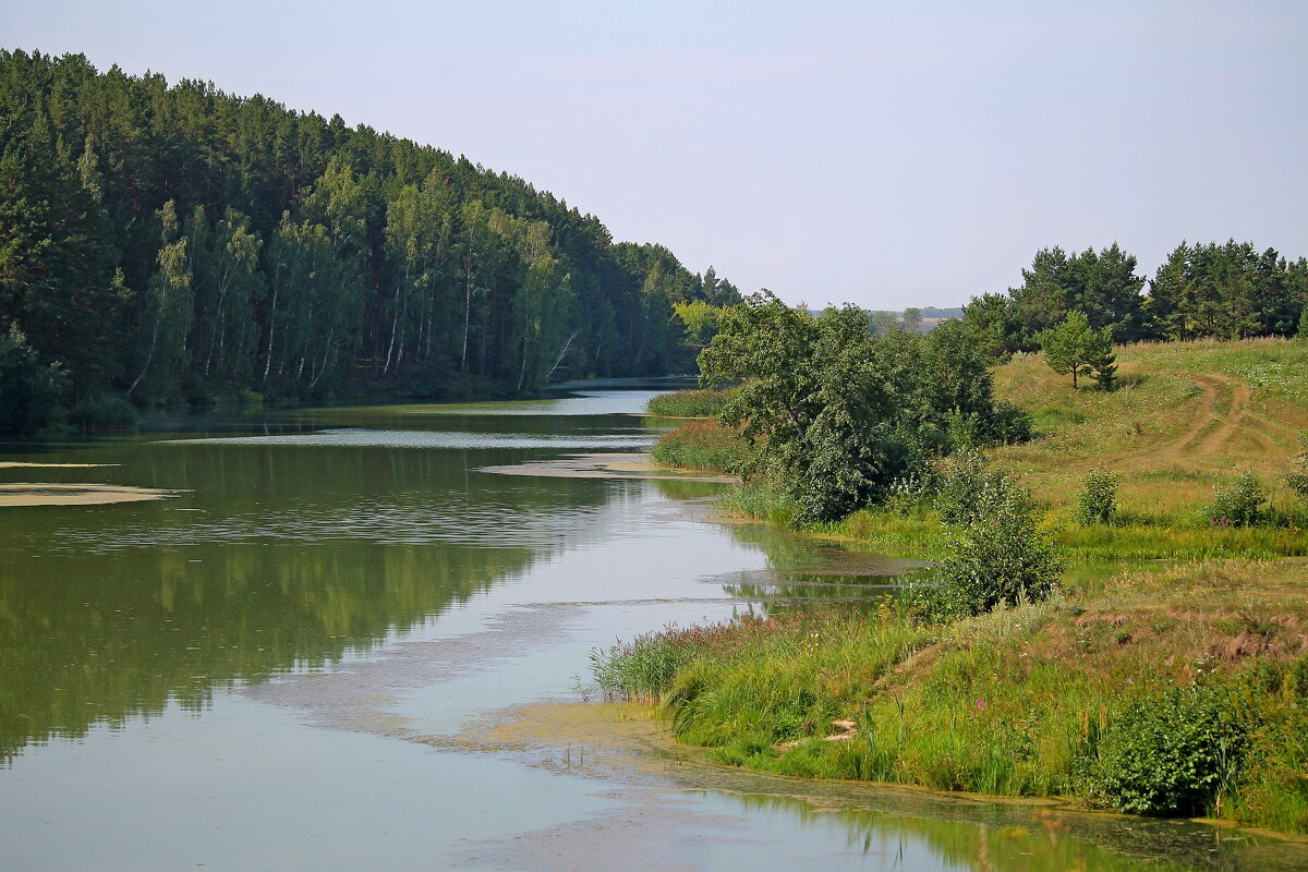 Вот и август - tamara kremleva