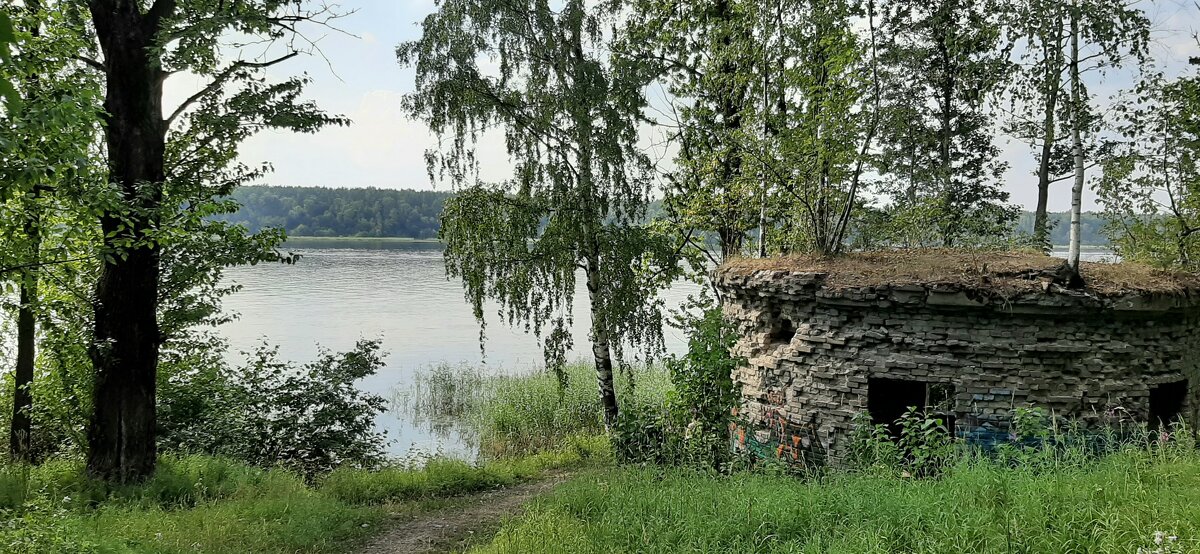 На берегу Невы - Наталья Герасимова