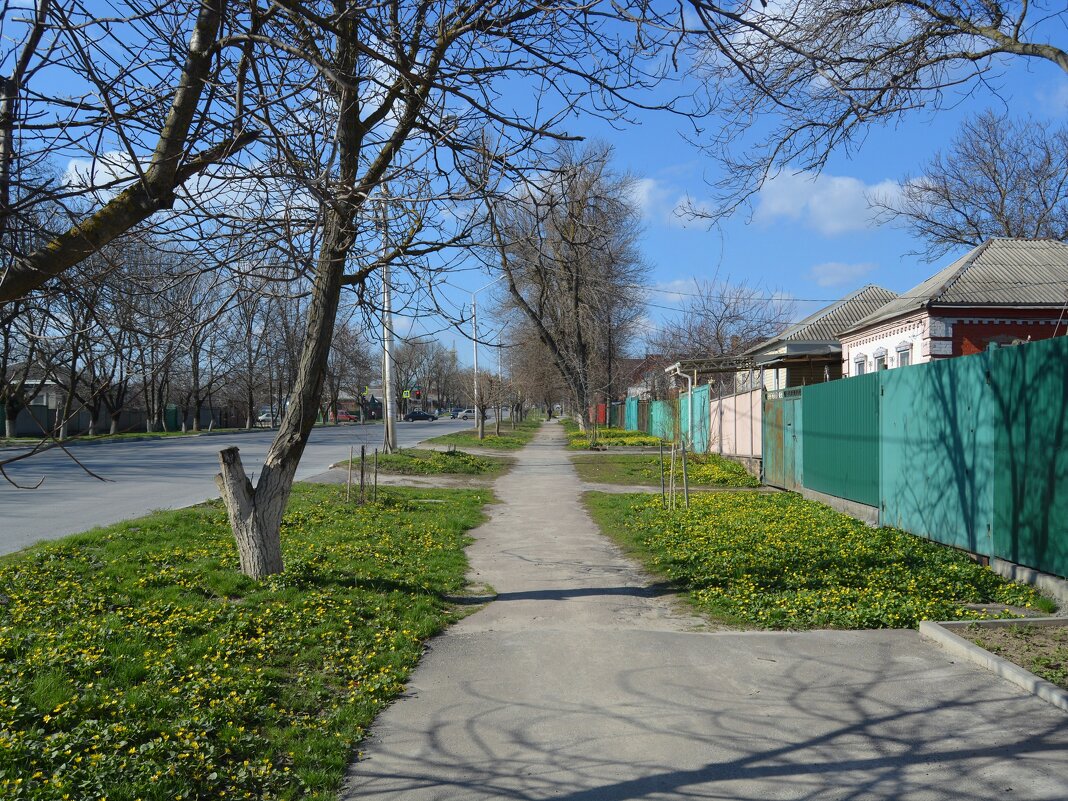 Аксай. Весенние палисадники улицы Толпинского. - Пётр Чернега Аксай. Весенние палисадники улицы Толпинского. - Пётр Чернега