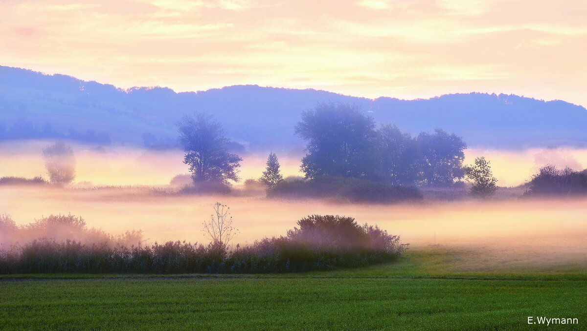 misty morning - Elena Wymann