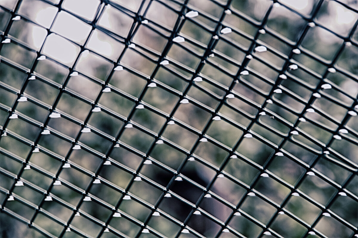 «Flat lay» - Юрий Яньков