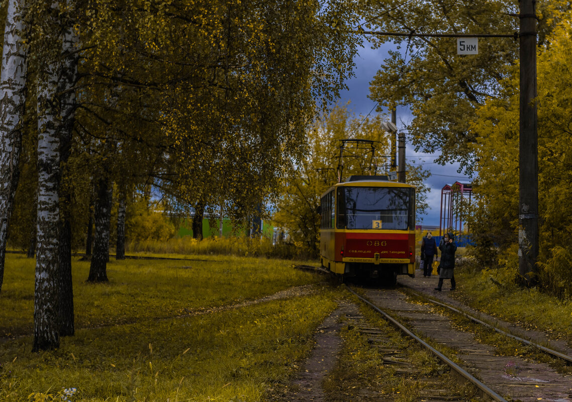 *** - Владимир Васильев