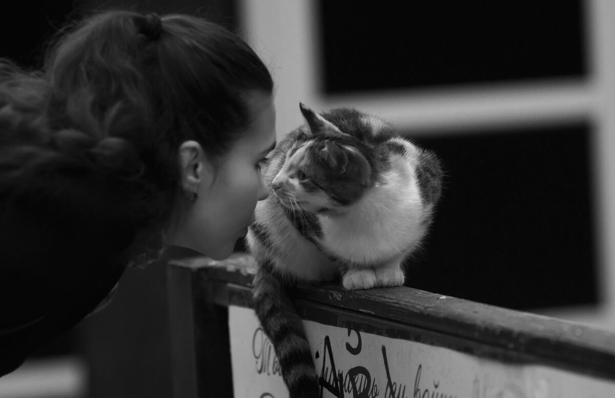 Знакомство - Vladimir Mannerheim Знакомство - Vladimir Mannerheim