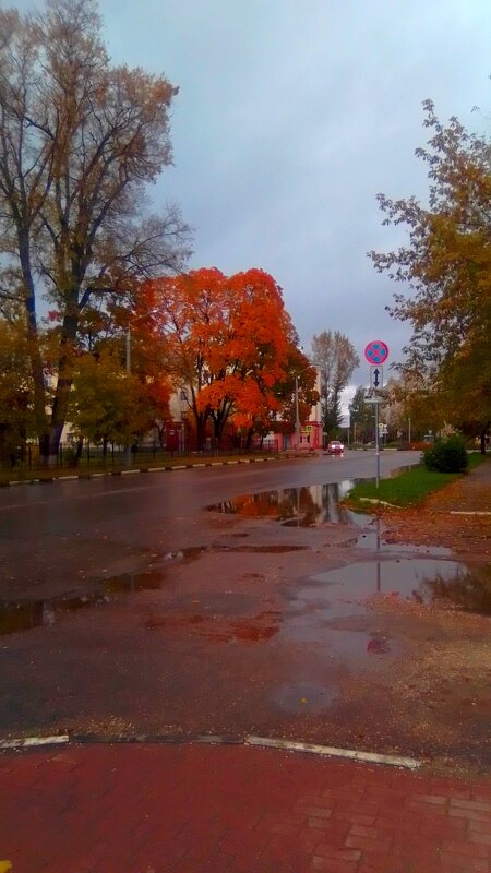 Осень в городе - Игорь Чуев