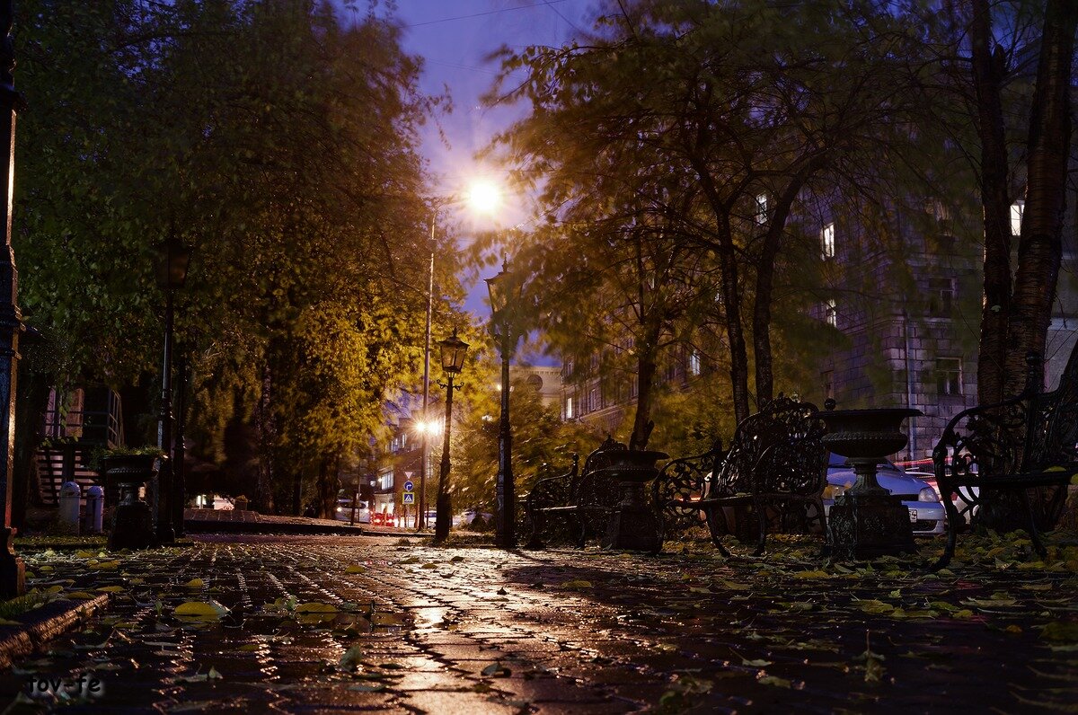 Ночь. Улица. Фонарь (цвет) - Олег Терёхин