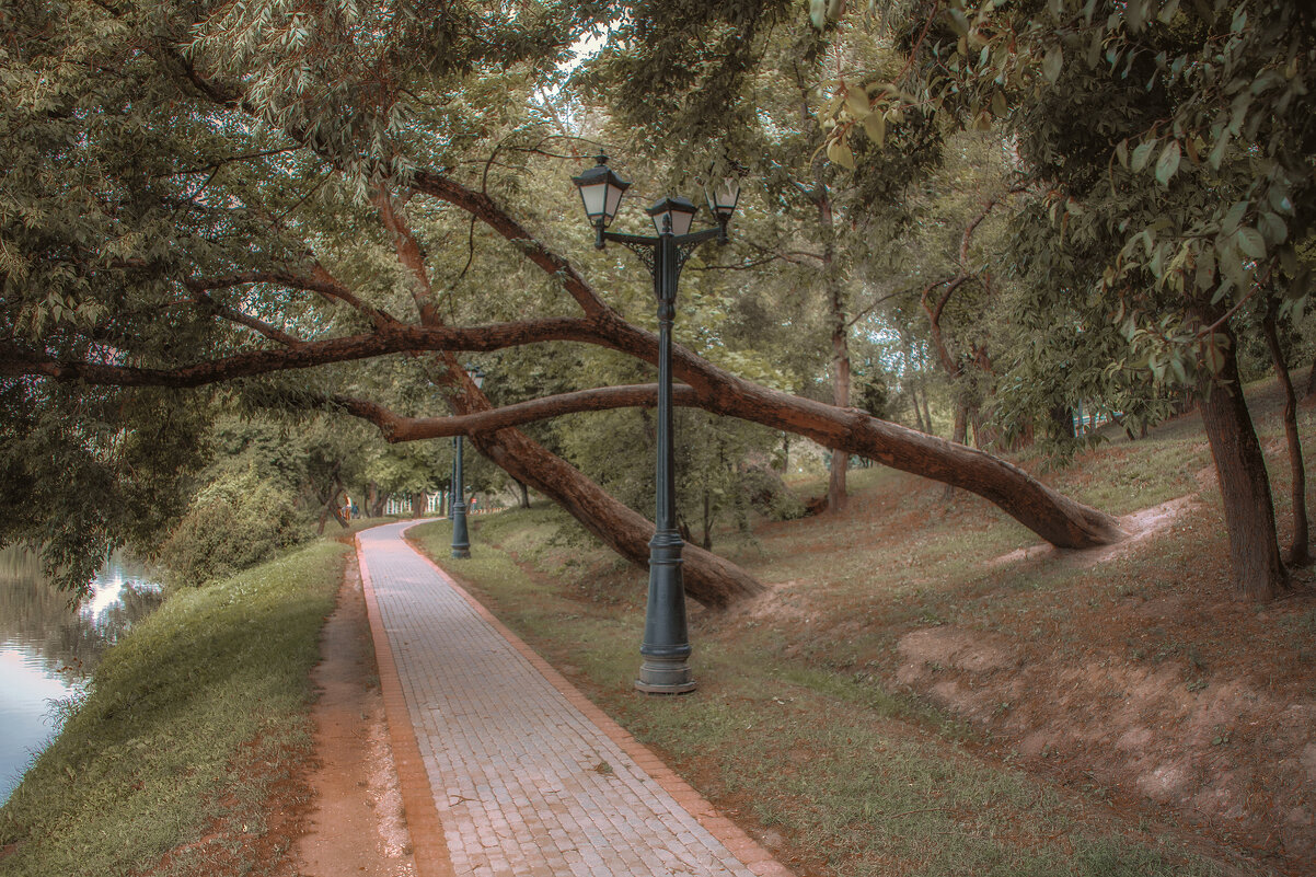 В парке - Aare Treiel