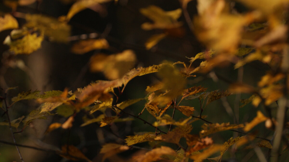 .... - Михаил Жуковский