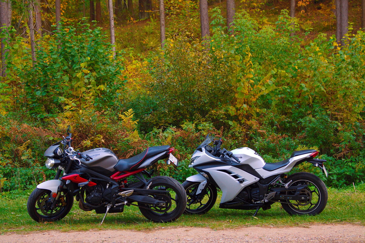 Парочка на природе.... - M Marikfoto Парочка на природе.... - M Marikfoto