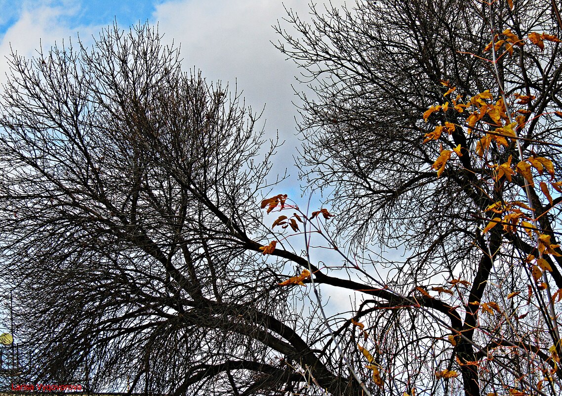 Осенний солнечный денёчек - Лариса Осенний солнечный денёчек - Лариса