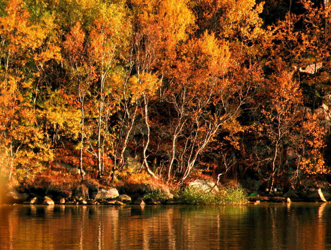 здесь осень тихо отдыхала. - игорь кио 
