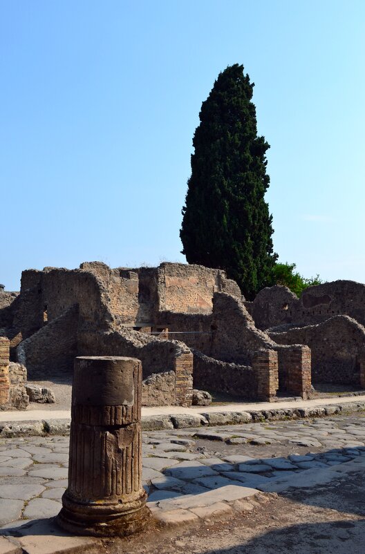 В развалинах Помпеи - Ольга В развалинах Помпеи - Ольга