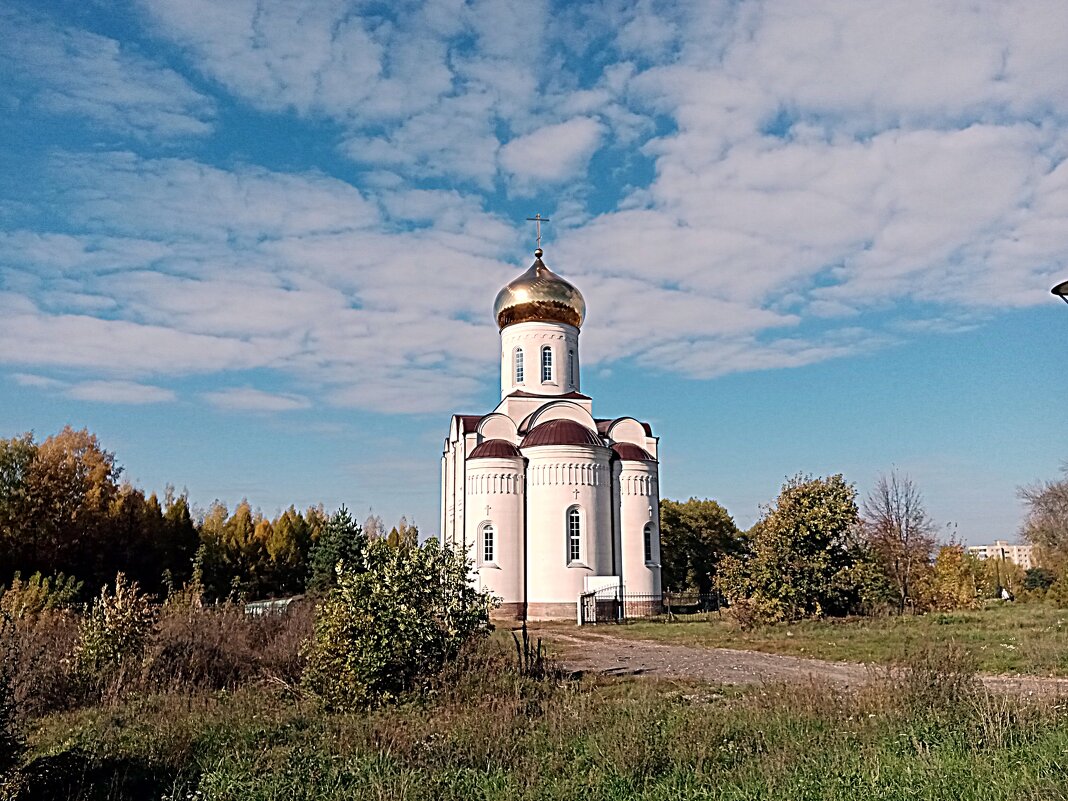 Осеннее. - Владимир Драгунский