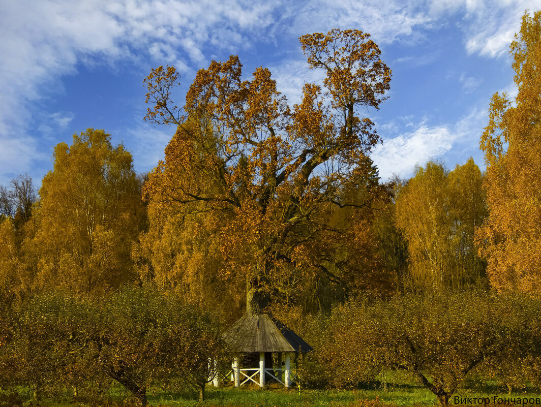 осень,Тригорское - Laryan1 