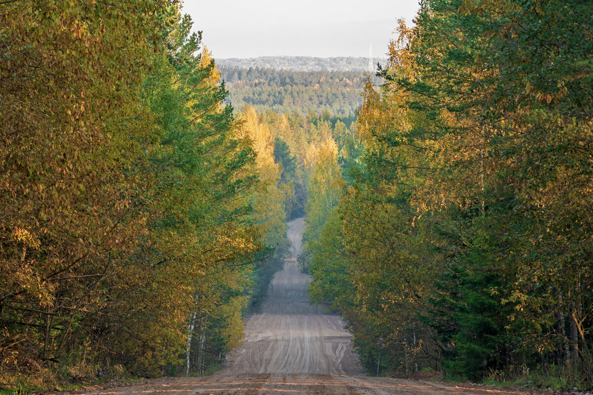 Осень... - Виктор Желенговский Осень... - Виктор Желенговский