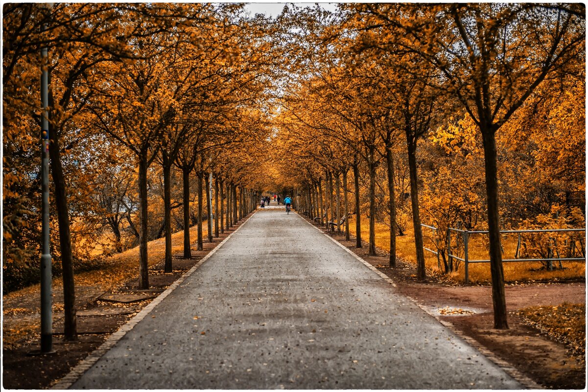 .... - Dmitry Ozersky