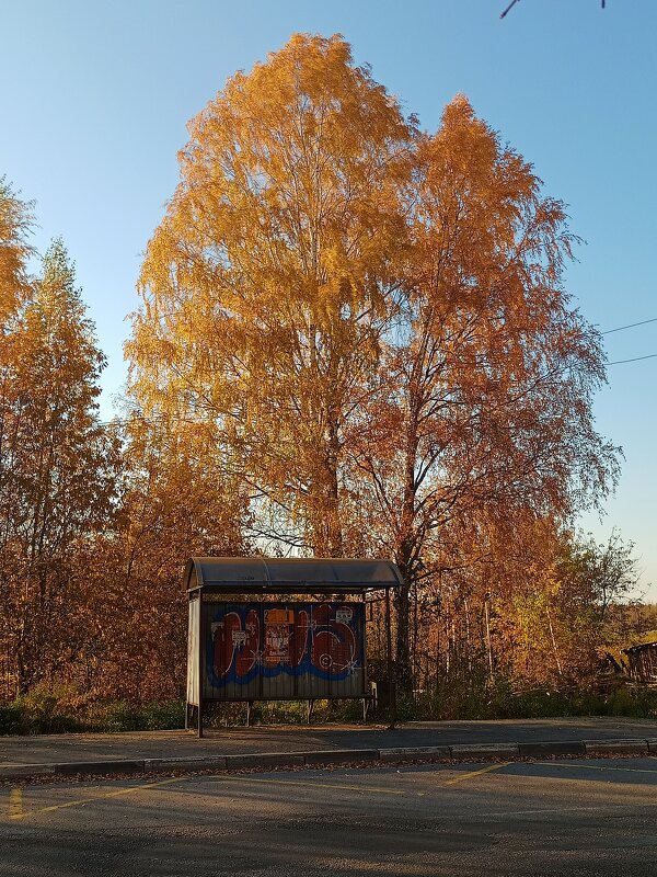 Остановка осень - Сергей Кочнев