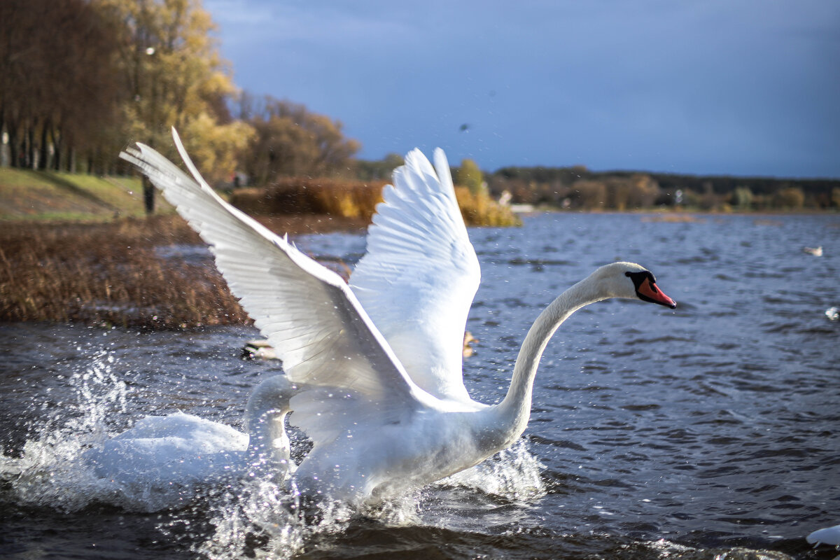 Взлетаем!!! - Дмитрий Взлетаем!!! - Дмитрий