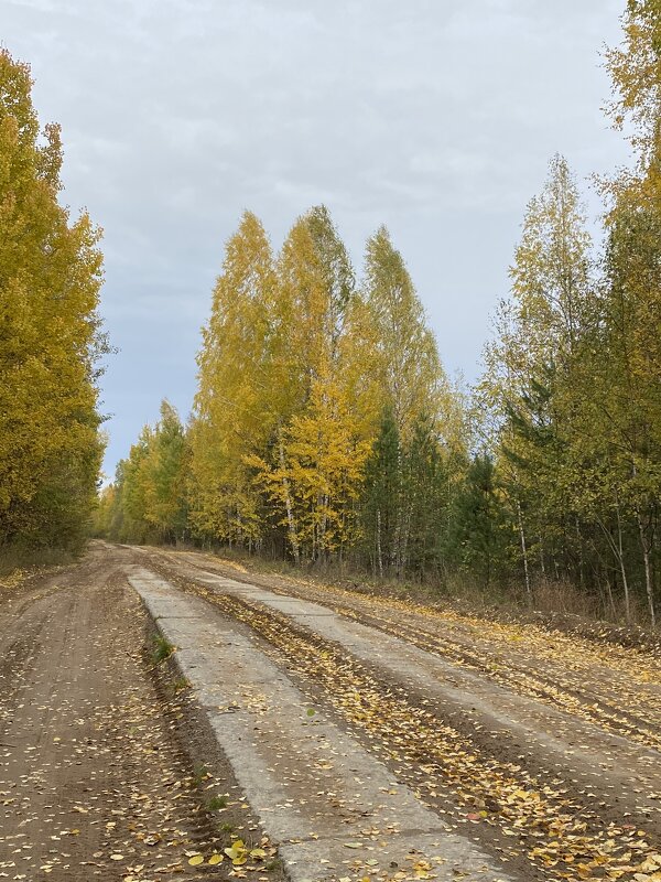 Осень 2021 Буренка - Раиса 