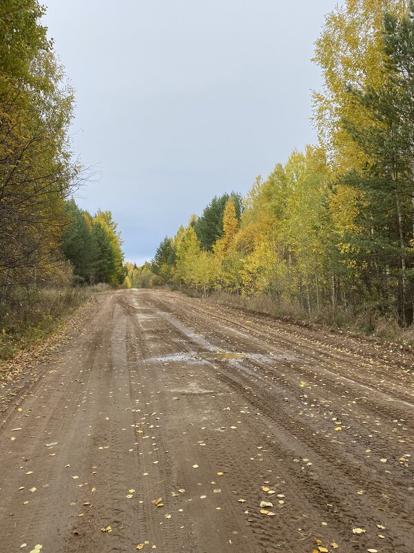 Осень 2021 Буренка - Раиса 