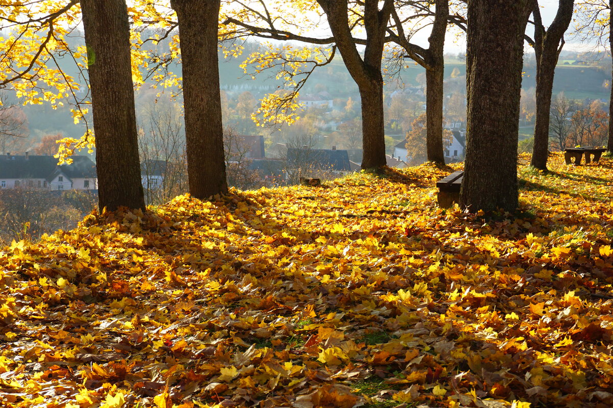 Осень. - Natalija Осень. - Natalija