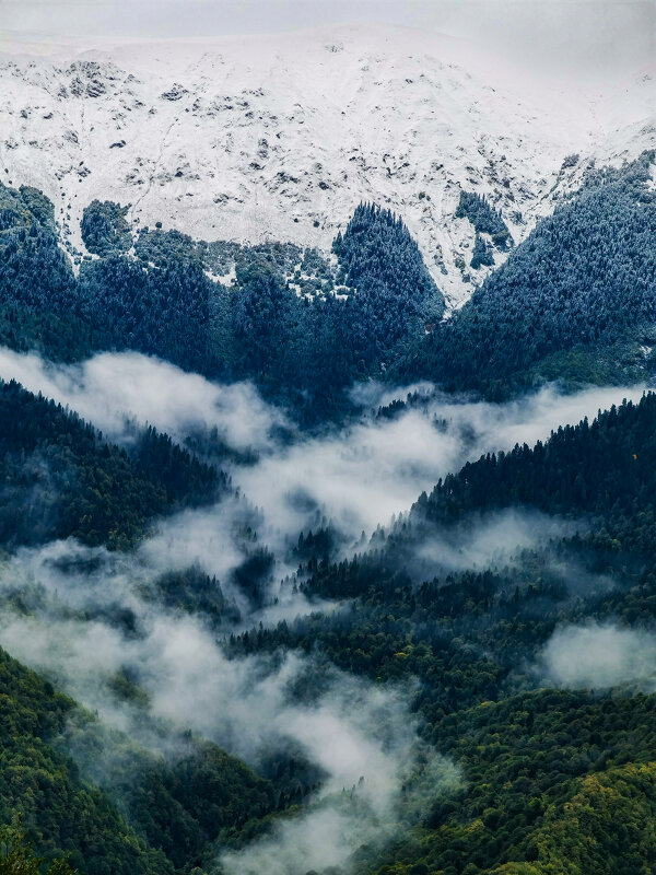 Изменчивая осень в Красной поляне - Андрей Синявин Изменчивая осень в Красной поляне - Андрей Синявин
