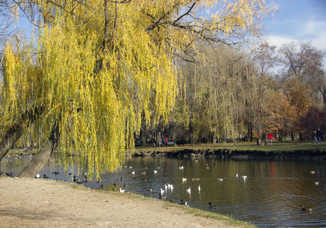 Зарисовки ноября - Павел Вышер Зарисовки ноября - Павел Вышер