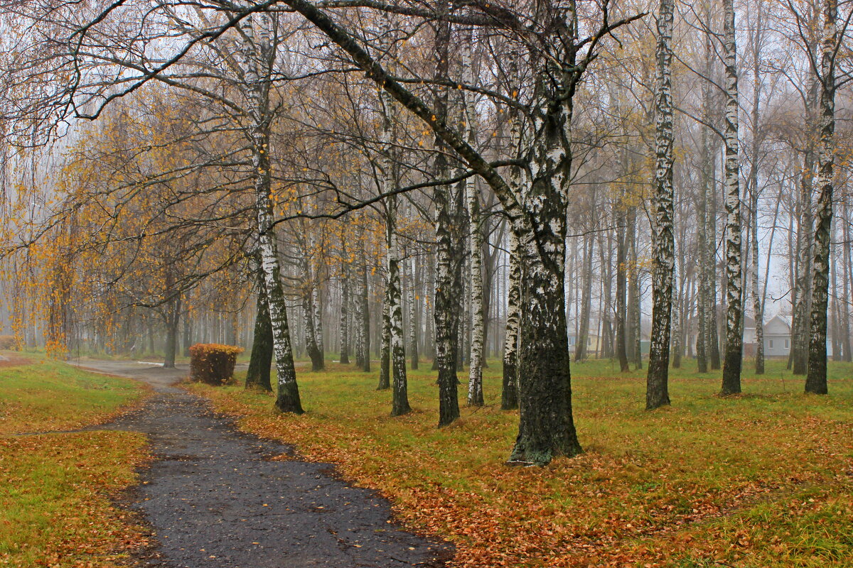 Туман - Сергей 