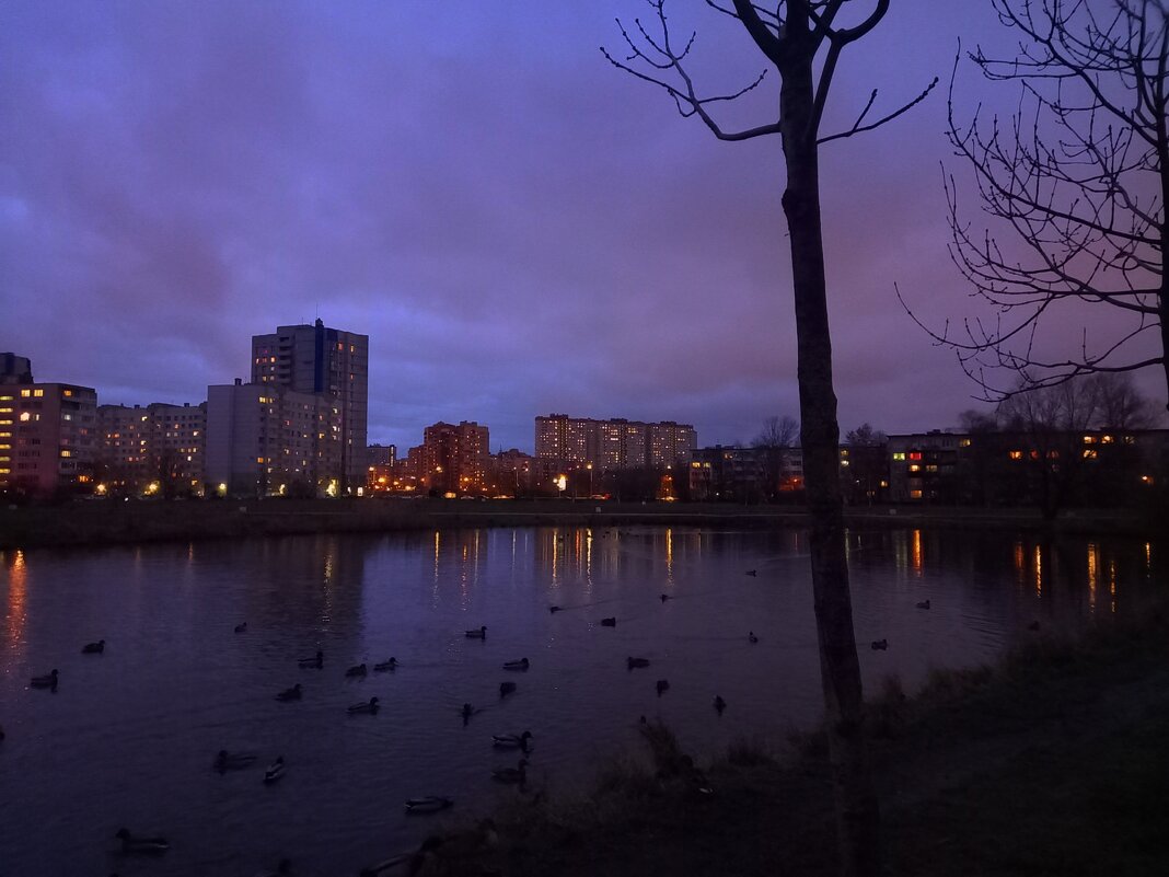 Сумерки - Сапсан 