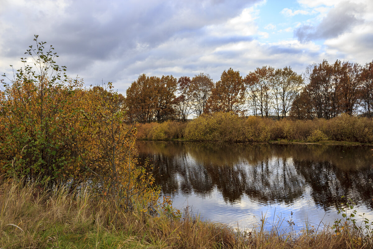 .. - оксана .. - оксана