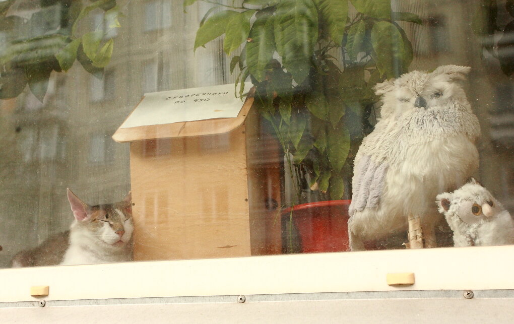 Тихо! "Дети" спят... Или "В рабочий полдень" - Владилен Панченко Тихо! "Дети" спят... Или "В рабочий полдень" - Владилен Панченко