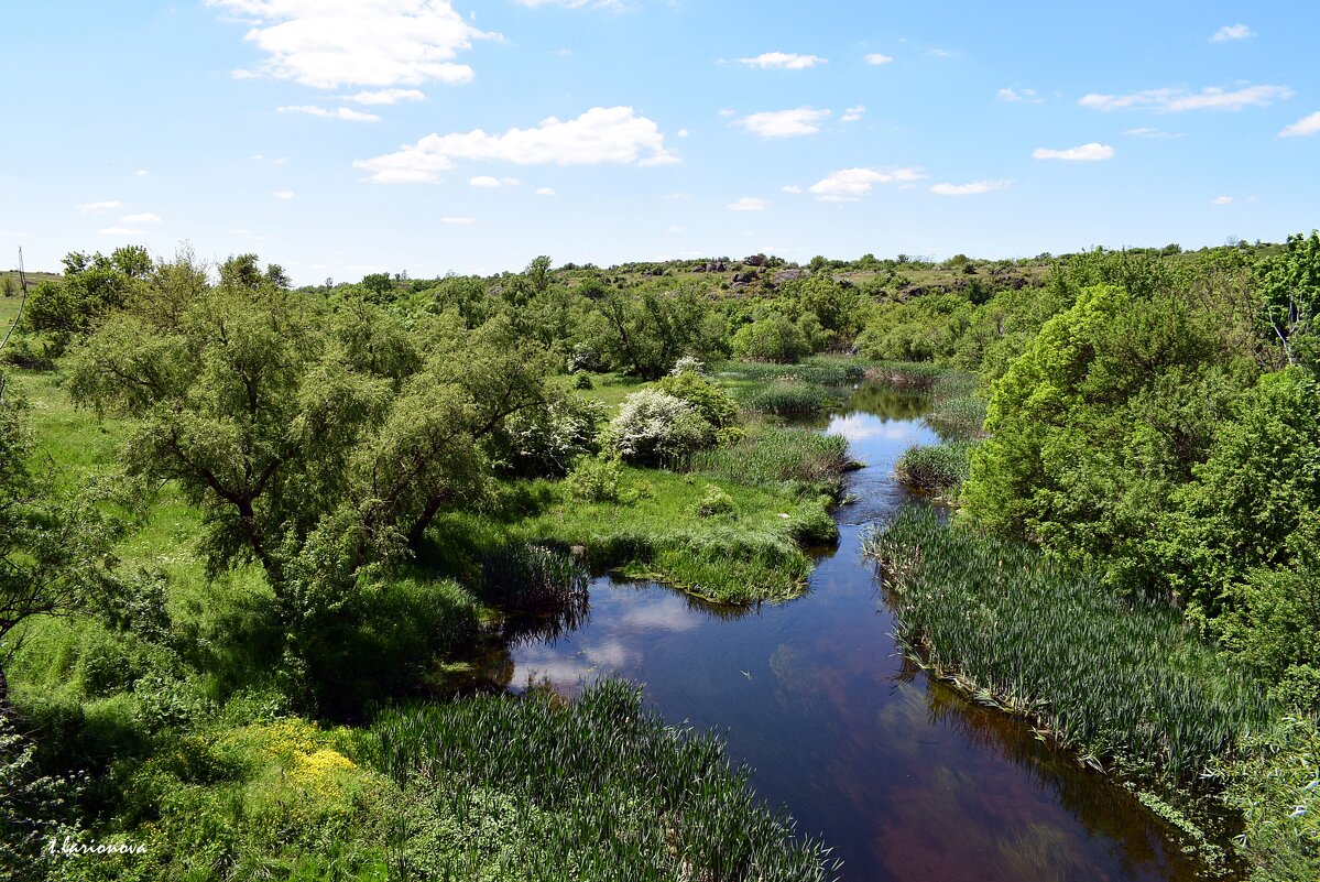 река Арбузинка - Татьяна Ларионова