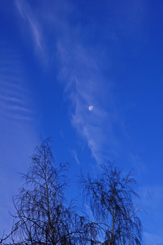 Утро. - сергей ермошкин Утро. - сергей ермошкин