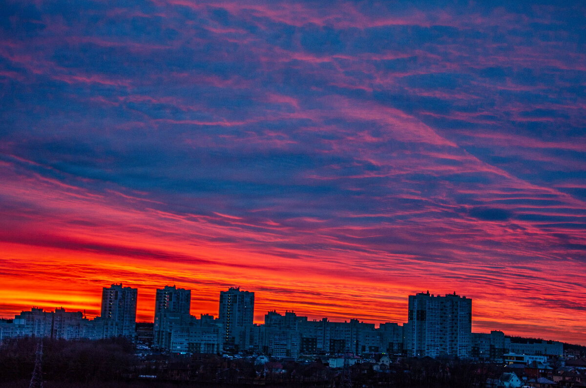 восход бордоворозовый - Александр Леонов