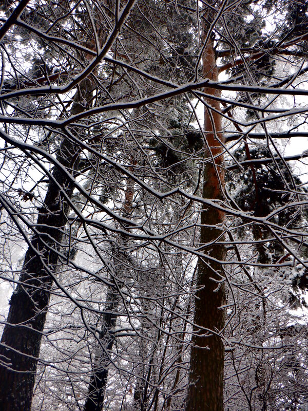 Природа - Михаил 