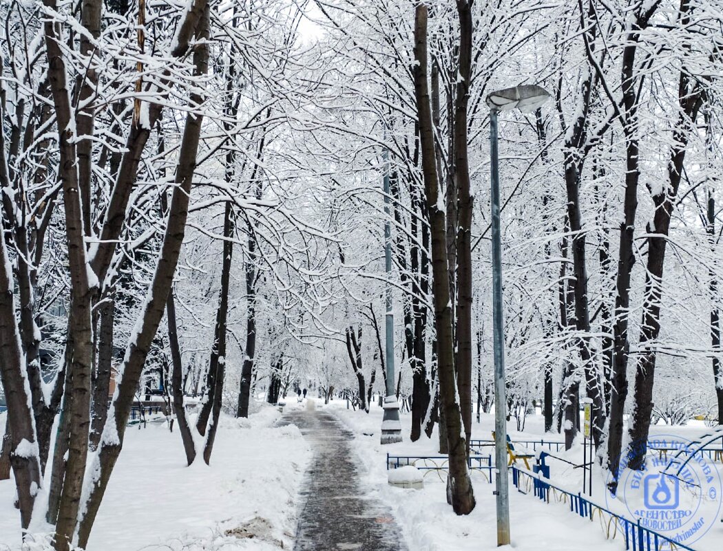 Снежная тропа - Мираслава Крылова