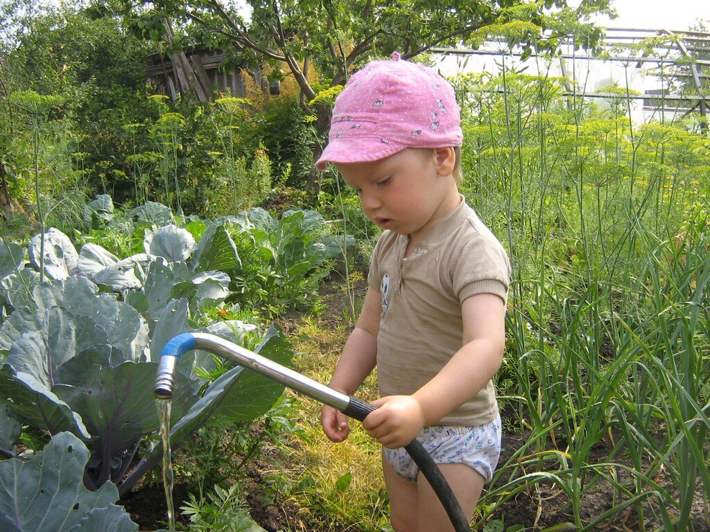 старательный помощник - Дмитрий Есин старательный помощник - Дмитрий Есин