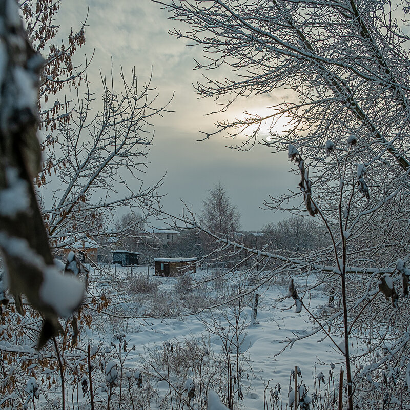 Прогулка с фотокамерой. - Олег Пучков