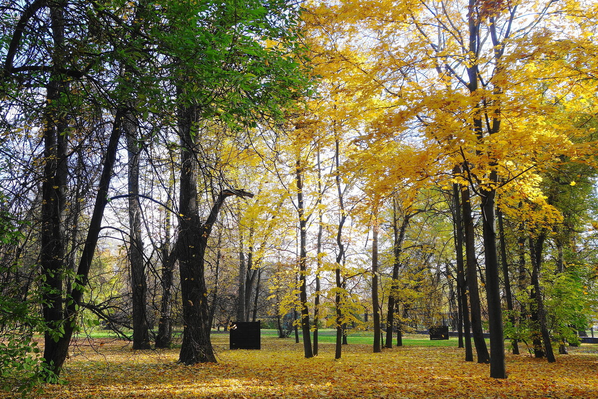 Парк Останкино - Маргарита Батырева