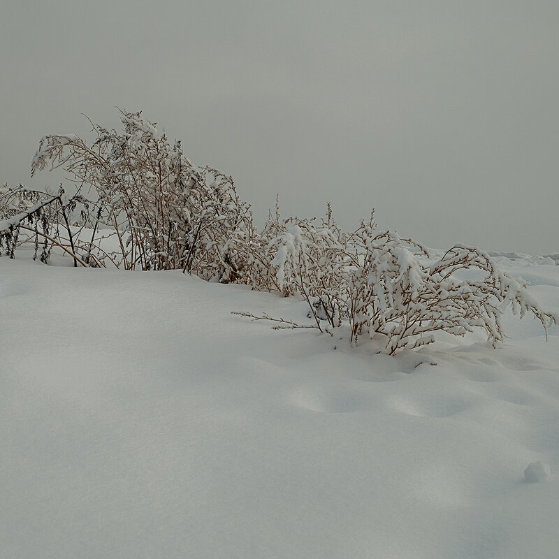 Прогулка с фотокамерой. - Олег Пучков