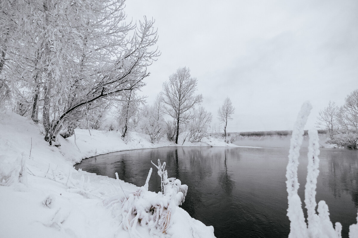 В белых одеждах декабря. - Вадим Басов В белых одеждах декабря. - Вадим Басов