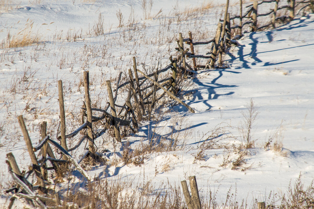 ... - ирина лузгина ... - ирина лузгина